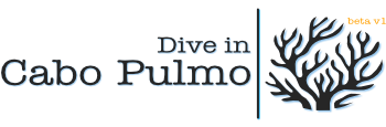 Dive In Cabo Pulmo